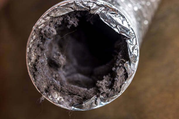 Best Home Air Vent Cleaning  in Wellsburg, WV